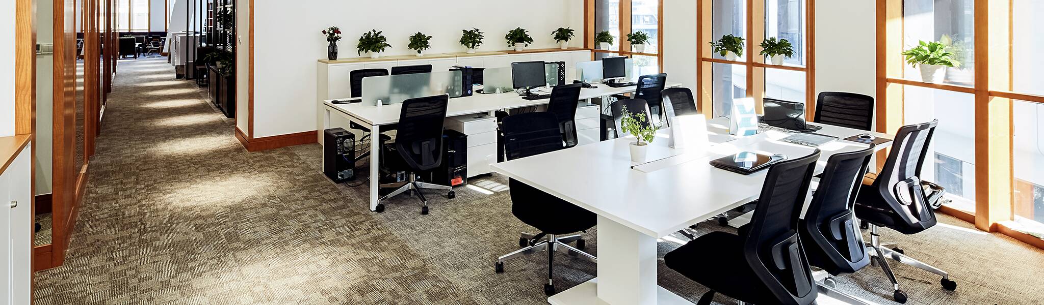 Cover New Office Furnisure